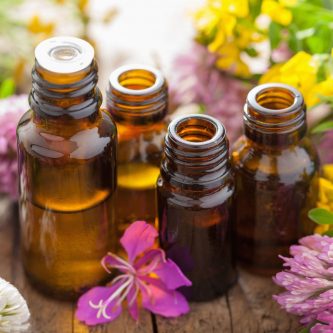 Formation qualifiante : Conseil en phytothérapie et aromathérapie